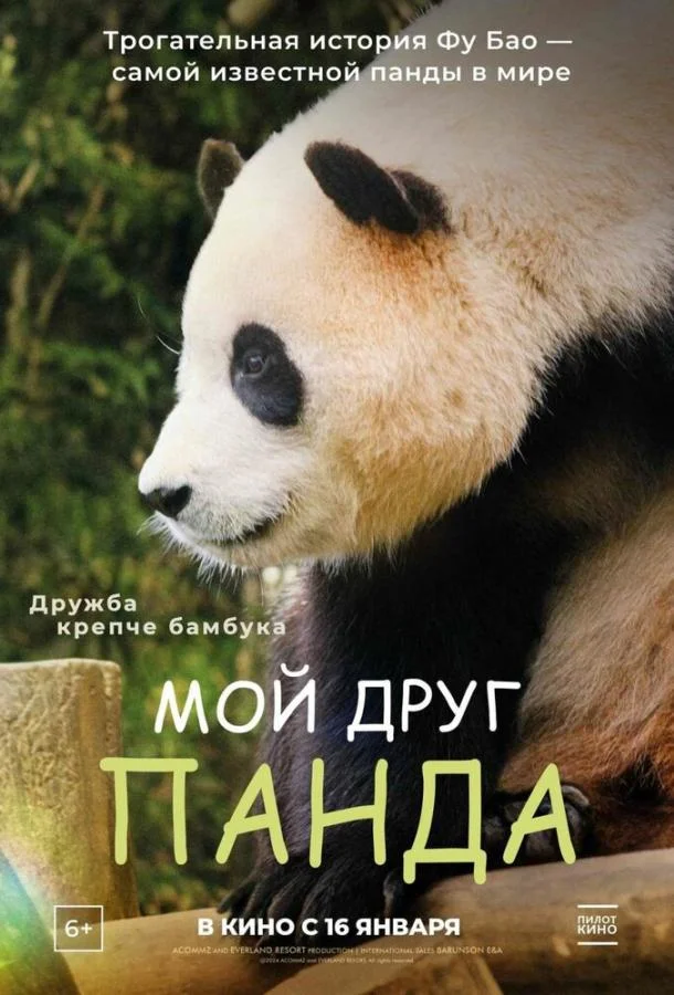 Смотреть Фильм Мой друг панда(2024) бесплатно