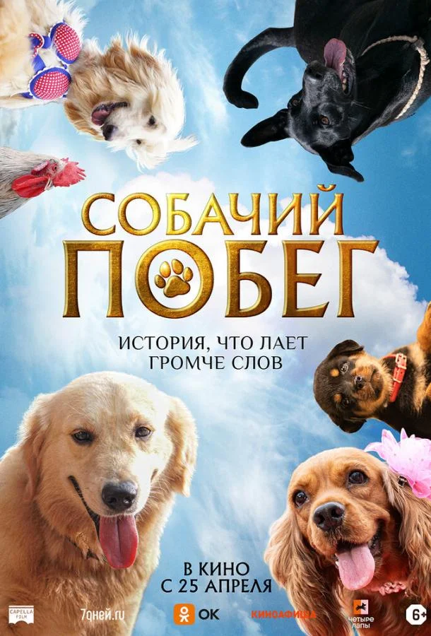 Смотреть Фильм Собачий побег(2023) бесплатно